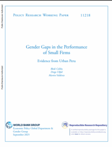 Gender Gaps in the Performance of Small Firms: Evidence from Urban Peru