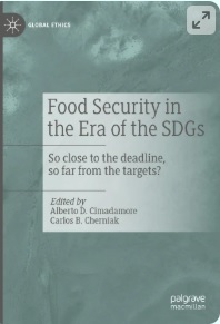 Food distribution models in Latin America: Unraveling the effects of physical access on food security